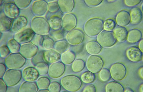 1638931565555874.png 29.png