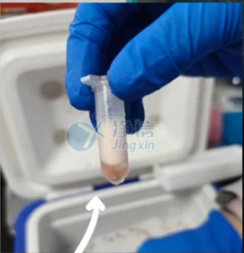 12 实验案例底图.jpg