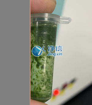 冷冻研磨仪在对甘蔗叶片提取DNA实验中研磨样本效果如何?